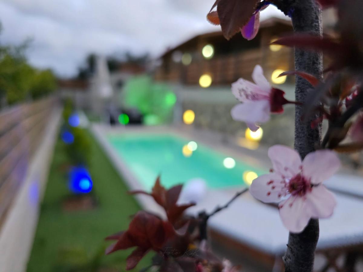 Elia Paradise Villa With Private Pool Heraclión Exterior foto